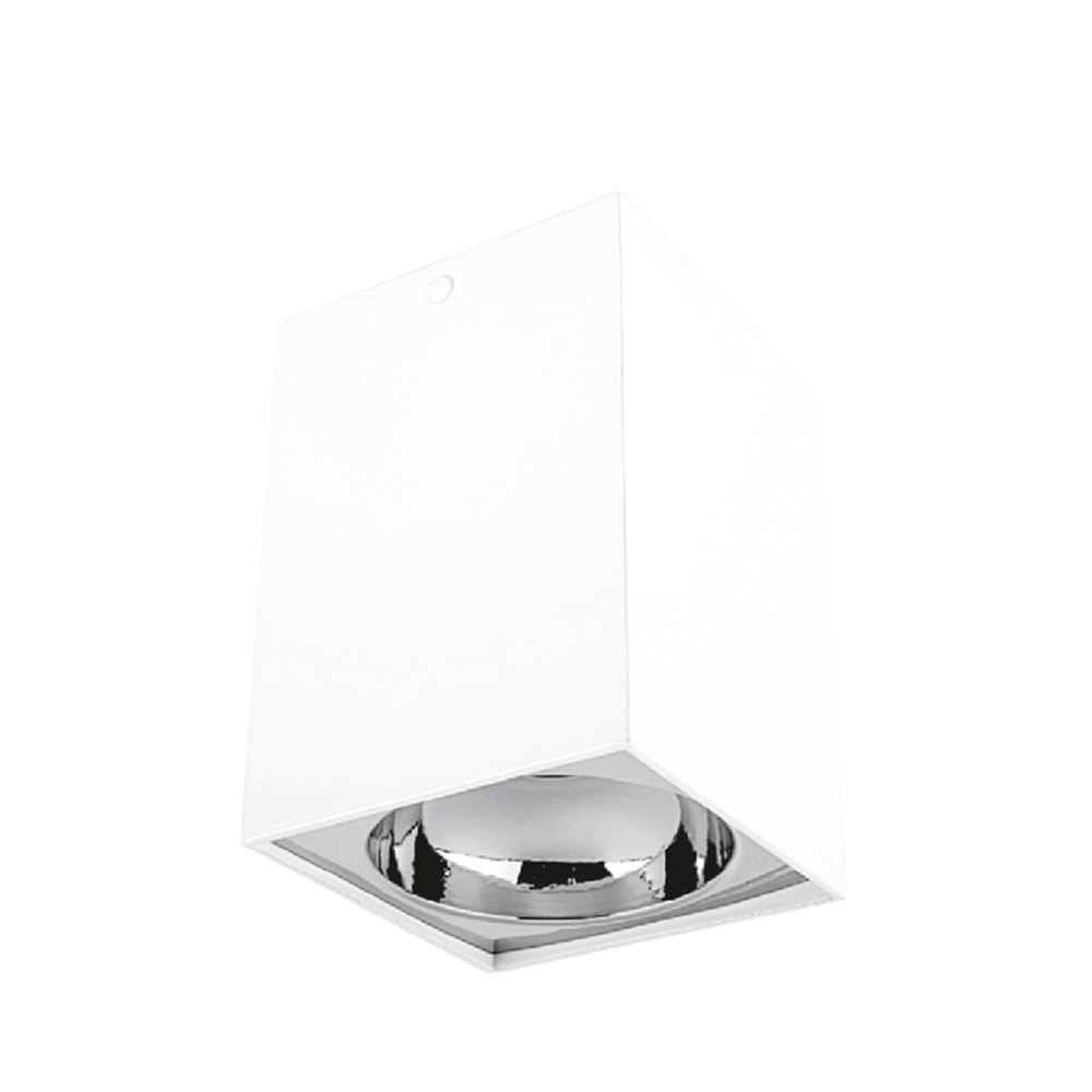 CATA BERGAMA BEYAZ KASA DEKORATİF ARMATÜR (BEYAZ-PLATİN) SIVA ÜSTÜ CT-5420-BP