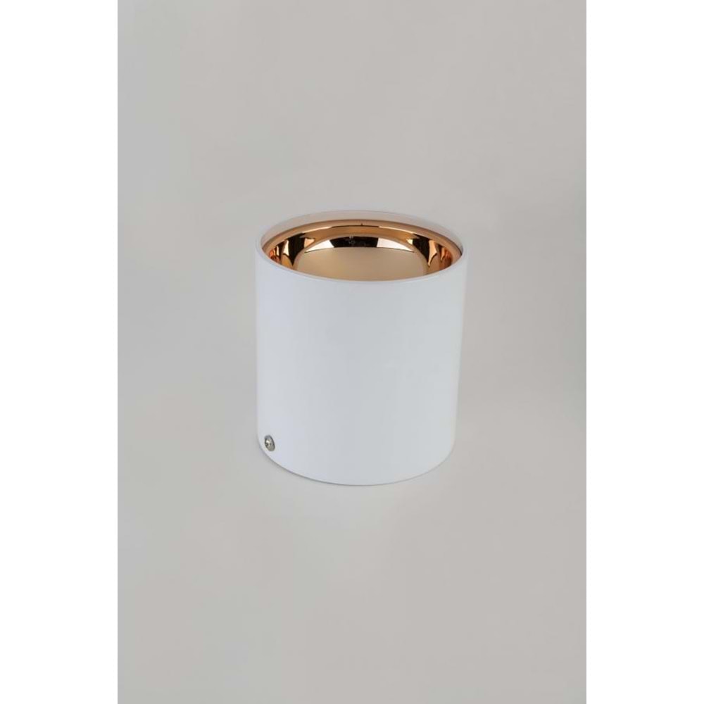 CATA FOÇA BEYAZ KASA DEKORATİF ARMATÜR (BEYAZ-BAKIR) SIVA ÜSTÜ CT-5421