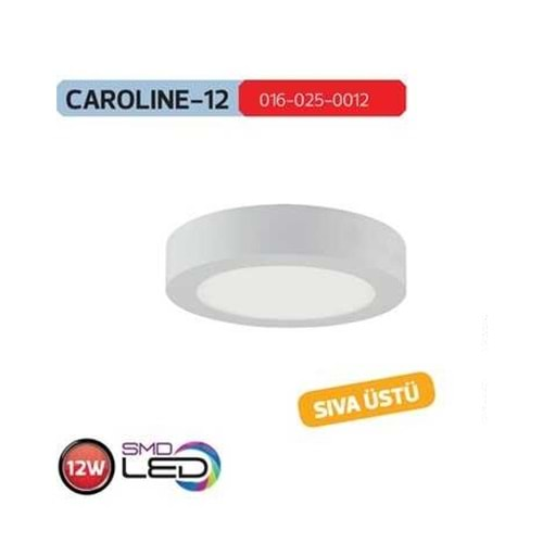 HOROZ 12W SIVA ÜSTÜ LED PANEL BEYAZ KASA 6400K BEYAZ IŞIK CAROLINE-12 016 025 0012