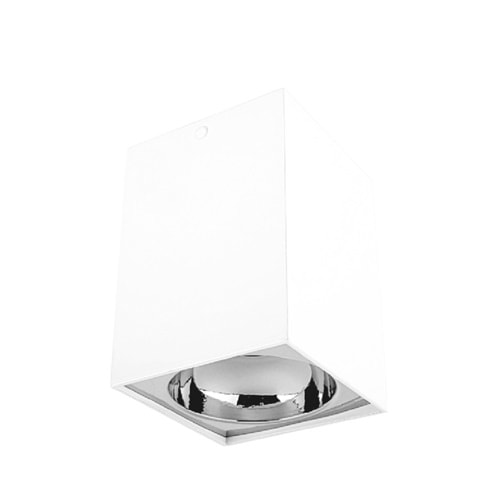 CATA BERGAMA BEYAZ KASA DEKORATİF ARMATÜR (BEYAZ-PLATİN) SIVA ÜSTÜ CT-5420-BP